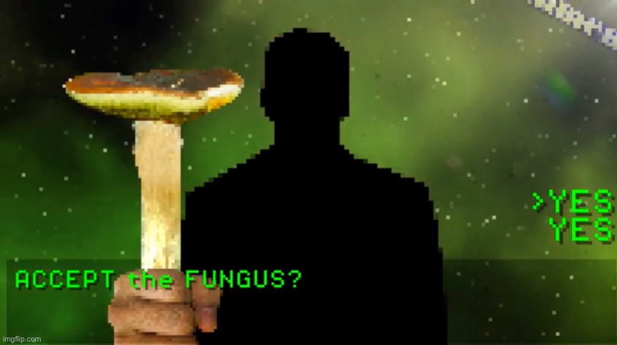 This is now a template | image tagged in have a fungus | made w/ Imgflip meme maker