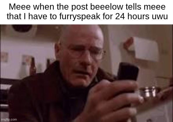 Meee when the post beeelow tells meee that I have to furryspeak for 24 hours uwu | made w/ Imgflip meme maker