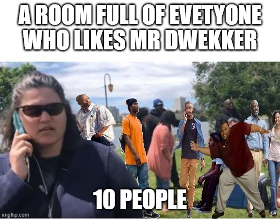 Barbeque Becky 911 More Than 10 Black People | A ROOM FULL OF EVETYONE WHO LIKES MR DWEKKER 10 PEOPLE | image tagged in barbeque becky 911 more than 10 black people | made w/ Imgflip meme maker