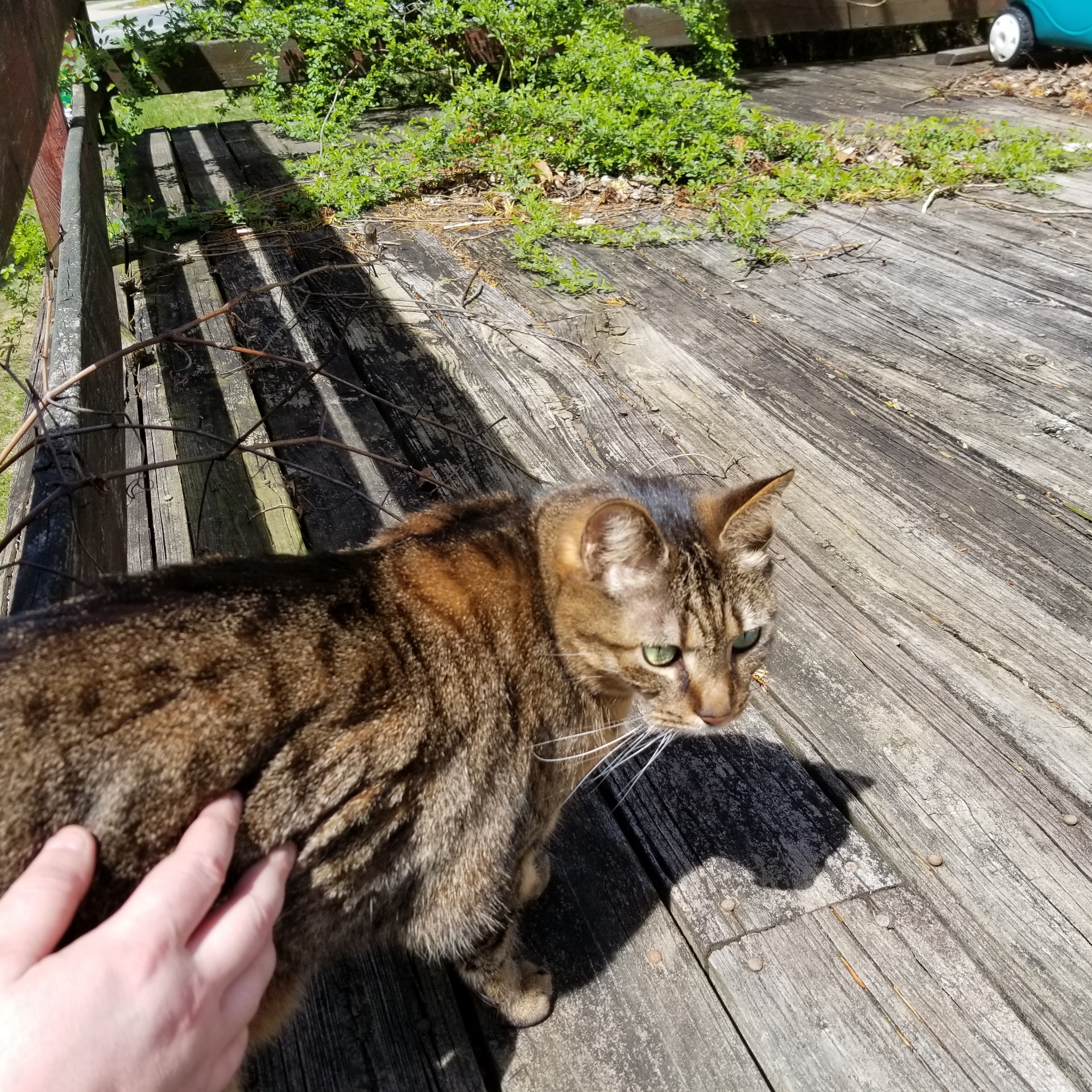 High Quality Topher Grace Coan Blank Meme Template