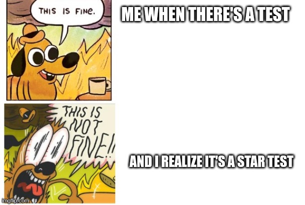 for real | ME WHEN THERE'S A TEST; AND I REALIZE IT'S A STAR TEST | image tagged in this is fine this is not fine | made w/ Imgflip meme maker
