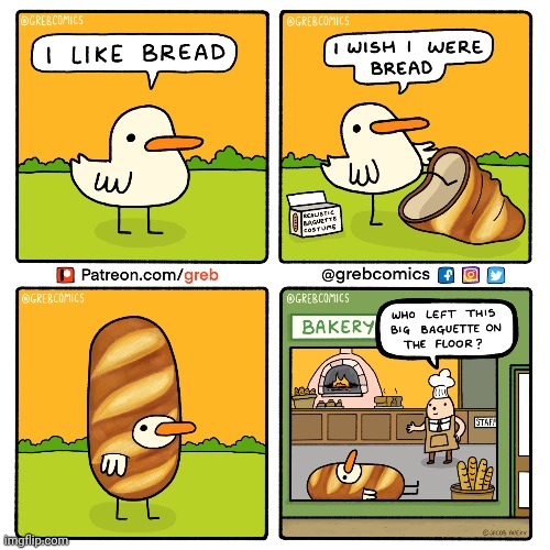Becoming bread | image tagged in breads,bread,birds,bird,comics,comics/cartoons | made w/ Imgflip meme maker