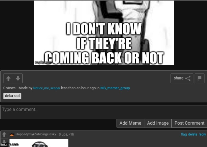 made w/ Imgflip meme maker