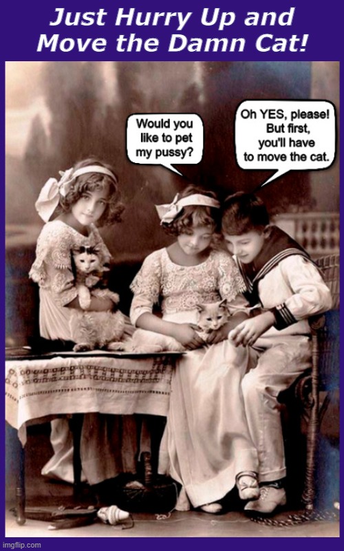 Just Hurry Up and Move the Damn Cat! | image tagged in cat,pussy,pussy cat,children playing,funny,memes | made w/ Imgflip meme maker