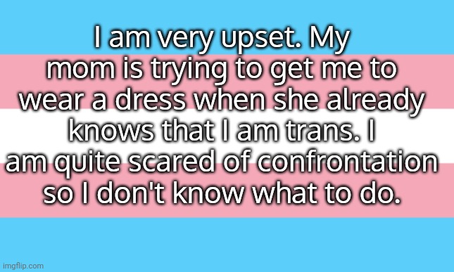 Slight vent | I am very upset. My mom is trying to get me to wear a dress when she already knows that I am trans. I am quite scared of confrontation so I don't know what to do. | image tagged in trans flag | made w/ Imgflip meme maker