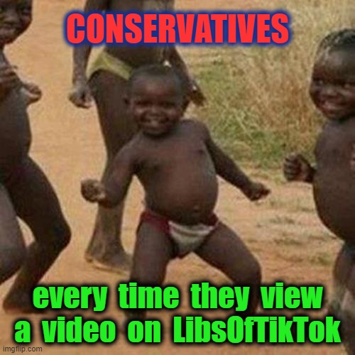 liberals make is SO EASY to laugh at them.  Thanks libs! | CONSERVATIVES; every  time  they  view  a  video  on  LibsOfTikTok | image tagged in third world success kid,libsoftiktok,stupid liberals,liberal logic,msm lies,hillary for prison | made w/ Imgflip meme maker