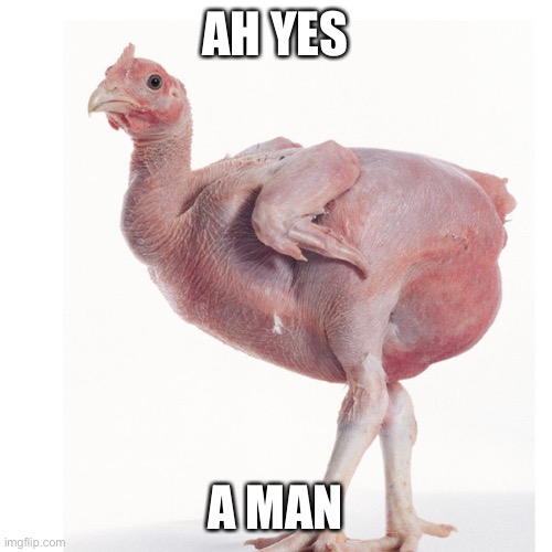 Man | AH YES; A MAN | image tagged in man,chicken,greek,ah yes a man | made w/ Imgflip meme maker