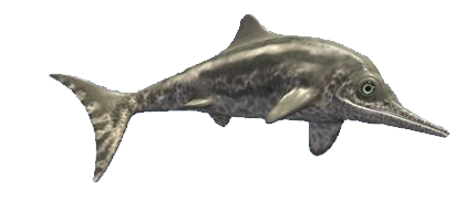 Ichthyosaurus Blank Meme Template