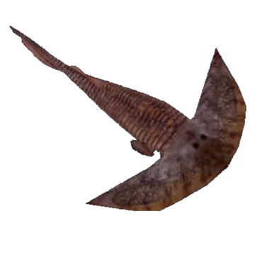 Parameteoraspis Blank Meme Template