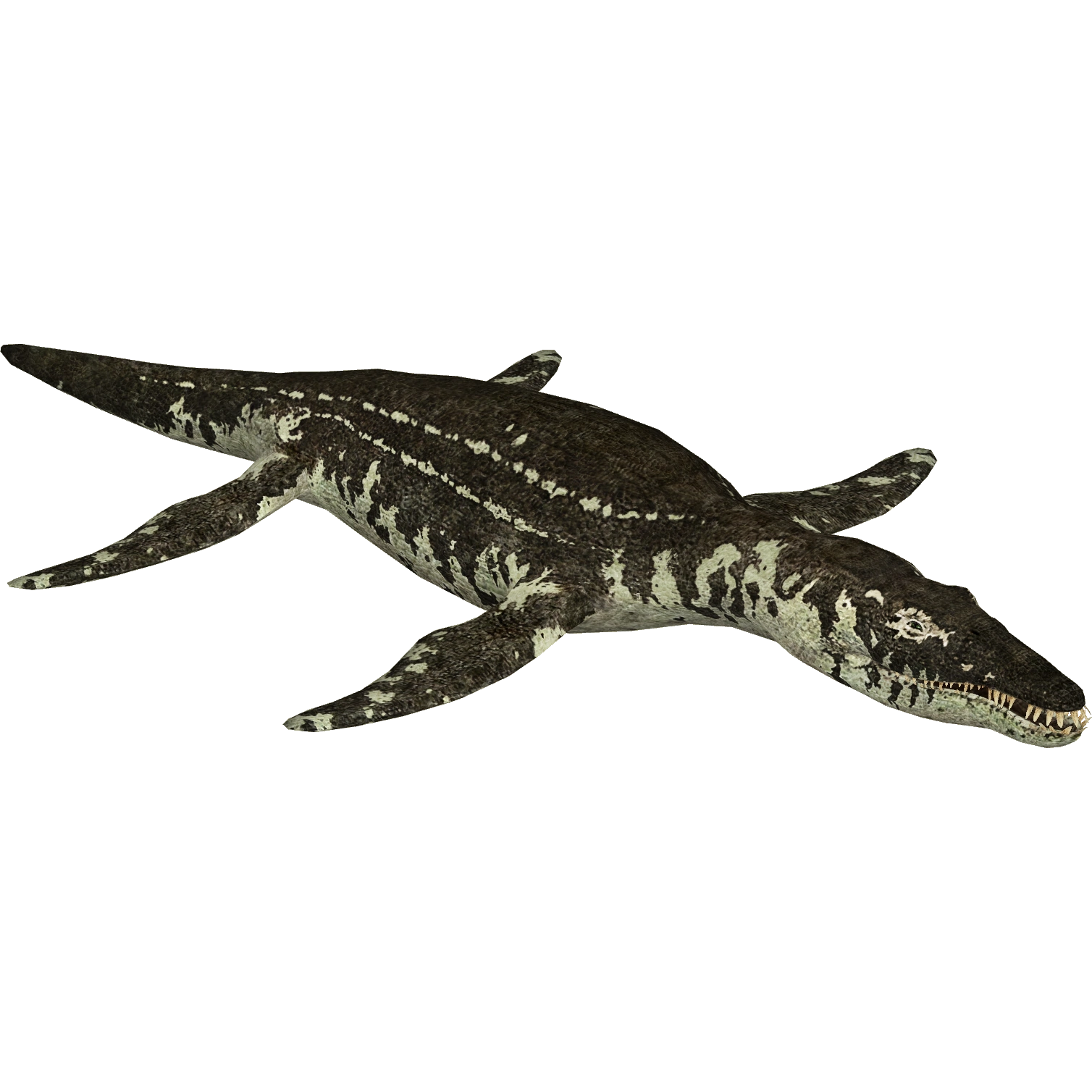 Liopleurodon Blank Meme Template