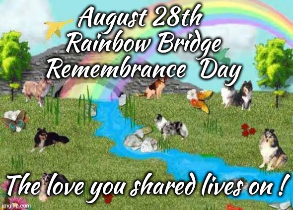Rainbow Bridge Remembrance Day | August 28th 
Rainbow Bridge Remembrance  Day; The love you shared lives on ! | image tagged in rainbow bridge,remember,sheltie | made w/ Imgflip meme maker