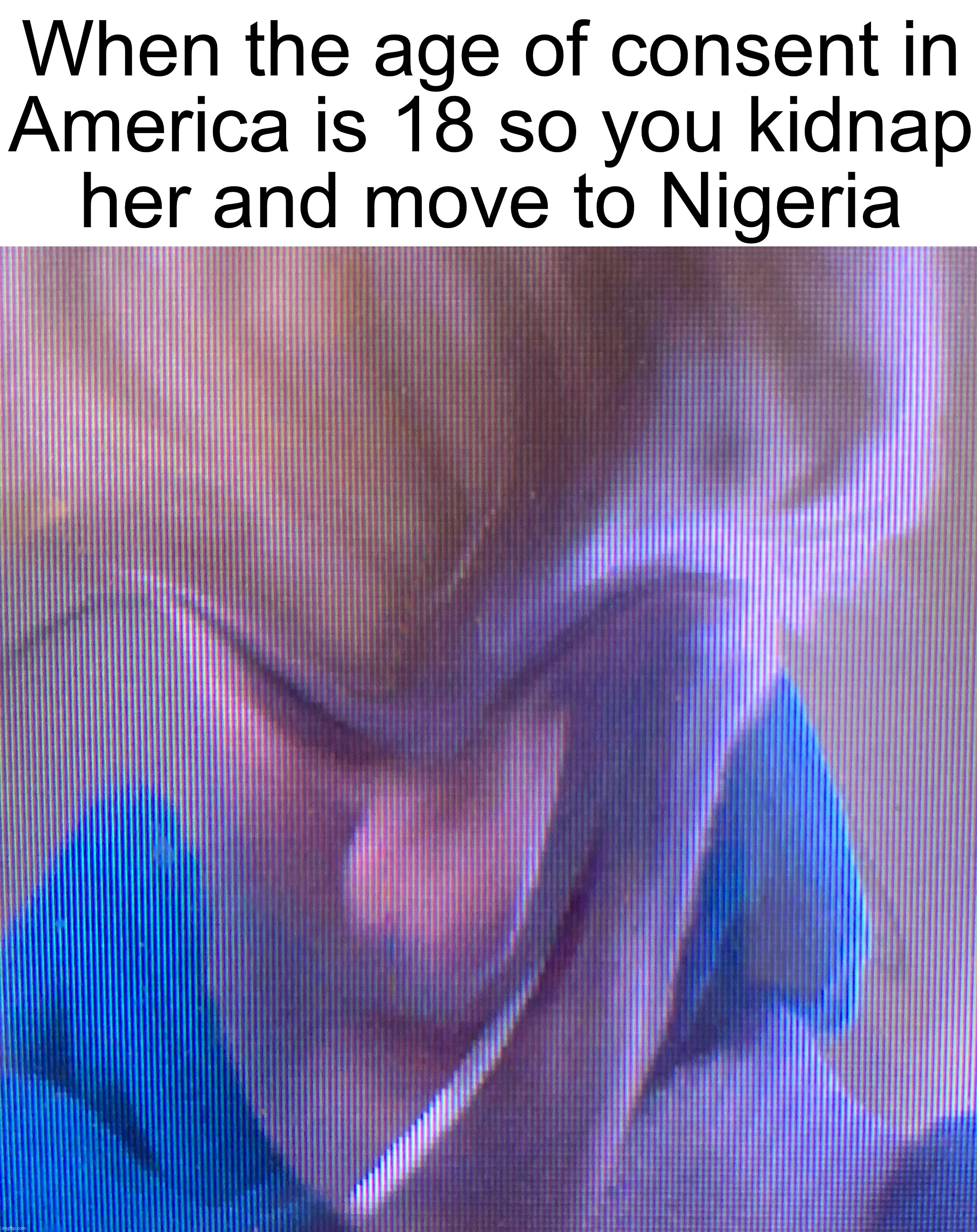 so I can do it legally | When the age of consent in
America is 18 so you kidnap
her and move to Nigeria | made w/ Imgflip meme maker
