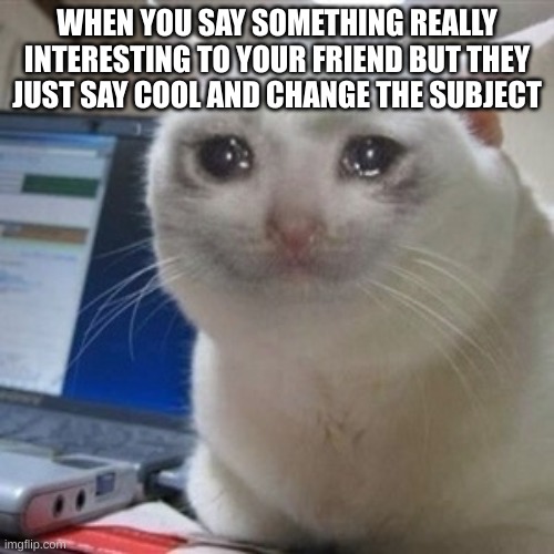 Bruh | WHEN YOU SAY SOMETHING REALLY INTERESTING TO YOUR FRIEND BUT THEY JUST SAY COOL AND CHANGE THE SUBJECT | image tagged in crying cat | made w/ Imgflip meme maker