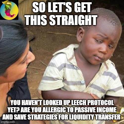 Third World Skeptical Kid | SO LET'S GET THIS STRAIGHT; YOU HAVEN'T LOOKED UP LEECH PROTOCOL YET? ARE YOU ALLERGIC TO PASSIVE INCOME AND SAVE STRATEGIES FOR LIQUIDITY TRANSFER | image tagged in memes,third world skeptical kid | made w/ Imgflip meme maker