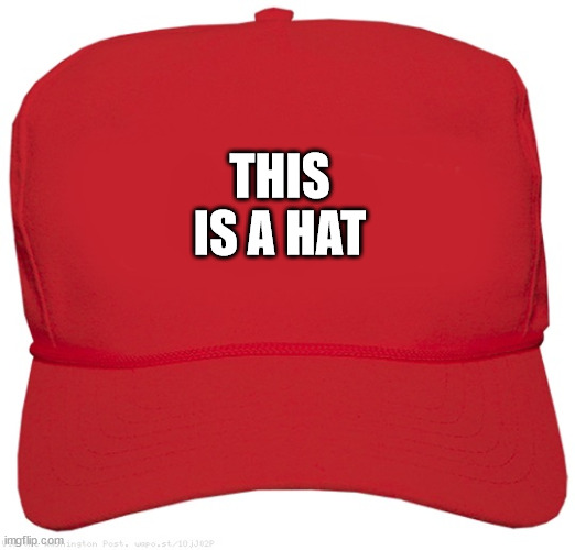 blank red MAGA hat | THIS IS A HAT | image tagged in blank red maga hat | made w/ Imgflip meme maker