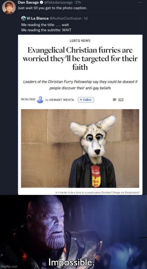 This is a joke, I know Christian Furries exist | image tagged in thanos impossible | made w/ Imgflip meme maker