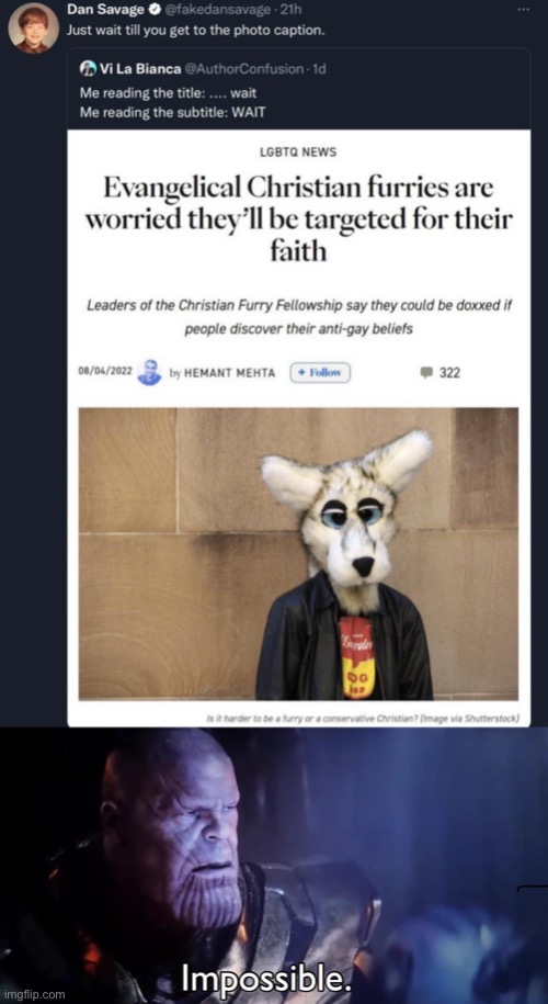 I’m expecting this to be disapproved for the fursuit mask in the photo I can’t control, but yeah, this is just a joke I thought  | image tagged in thanos impossible | made w/ Imgflip meme maker