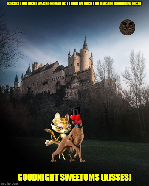 goodnight scooby | ROBERT THIS NIGHT WAS SO ROMANTIC I THINK WE MIGHT DO IT AGAIN TOMORROW NIGHT; GOODNIGHT SWEETUMS (KISSES) | image tagged in majestic castle,scooby doo,kirby,romance,cats,dogs | made w/ Imgflip meme maker
