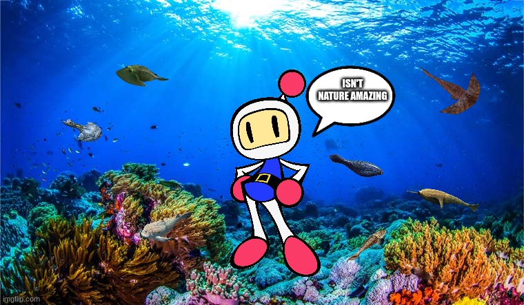 Anything else? | ISN'T NATURE AMAZING | image tagged in the reef,prehistoric,fish,bomberman | made w/ Imgflip meme maker