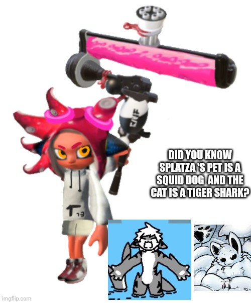 In game splatza | DID YOU KNOW SPLATZA 'S PET IS A SQUID DOG  AND THE CAT IS A TIGER SHARK? | image tagged in in game splatza | made w/ Imgflip meme maker