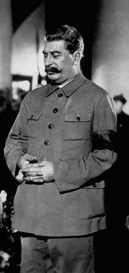 Stalin dioporco cazzo fatte Blank Meme Template