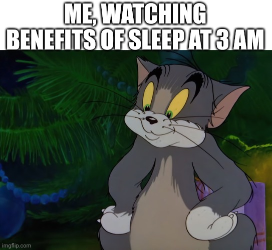 tom | ME, WATCHING BENEFITS OF SLEEP AT 3 AM | image tagged in tom | made w/ Imgflip meme maker