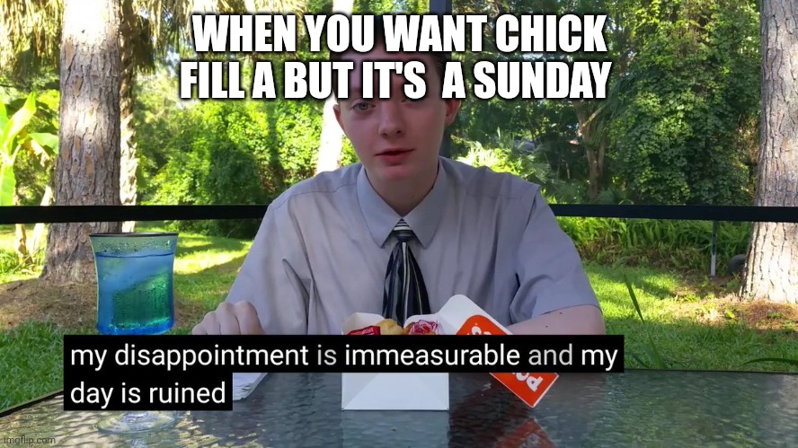 Relatable}¿♧◇♡ | WHEN YOU WANT CHICK FILL A BUT IT'S  A SUNDAY | image tagged in my disappointment is immeasurable | made w/ Imgflip meme maker