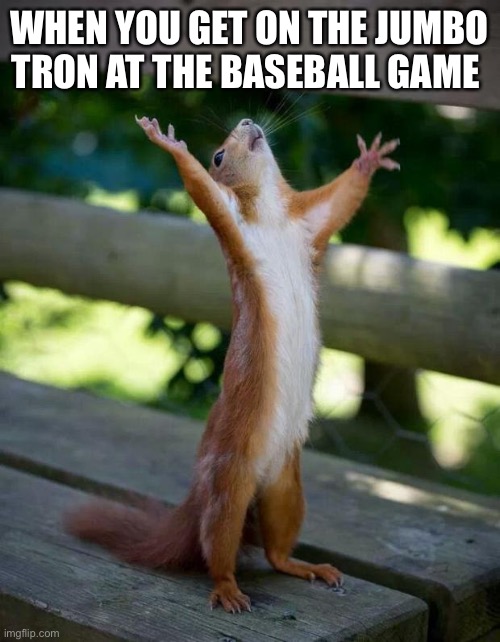 Baseball | WHEN YOU GET ON THE JUMBO TRON AT THE BASEBALL GAME | image tagged in happy squirrel | made w/ Imgflip meme maker