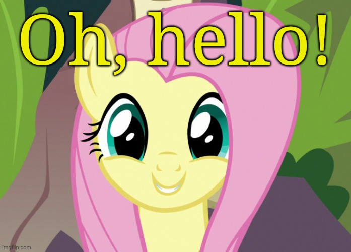Shyabetes 2 (MLP) | Oh, hello! | image tagged in shyabetes 2 mlp | made w/ Imgflip meme maker