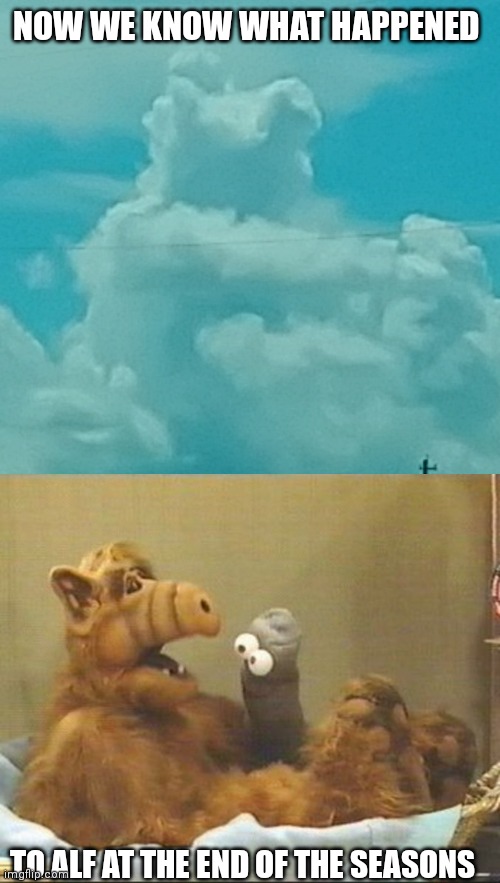 Cloud ALF | NOW WE KNOW WHAT HAPPENED; TO ALF AT THE END OF THE SEASONS | image tagged in clouds,imposter | made w/ Imgflip meme maker