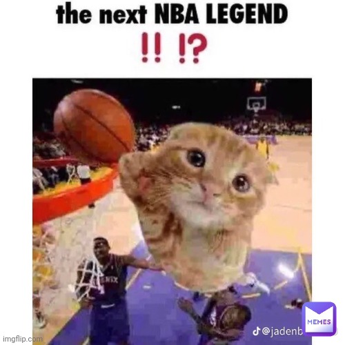 Yooo the cat do be ballin | made w/ Imgflip meme maker