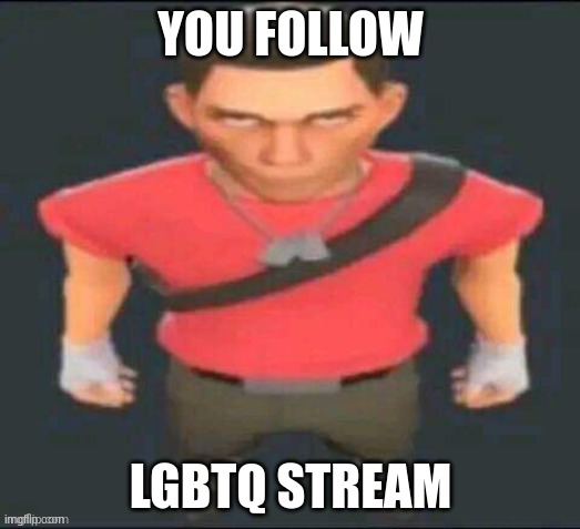 scout but I saved it so I don’t forget | YOU FOLLOW LGBTQ STREAM | image tagged in scout but i saved it so i don t forget | made w/ Imgflip meme maker