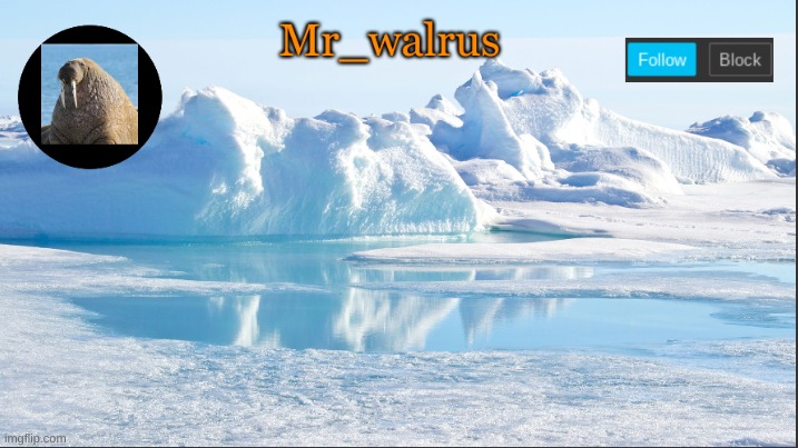 Mr_walrus | image tagged in mr_walrus | made w/ Imgflip meme maker