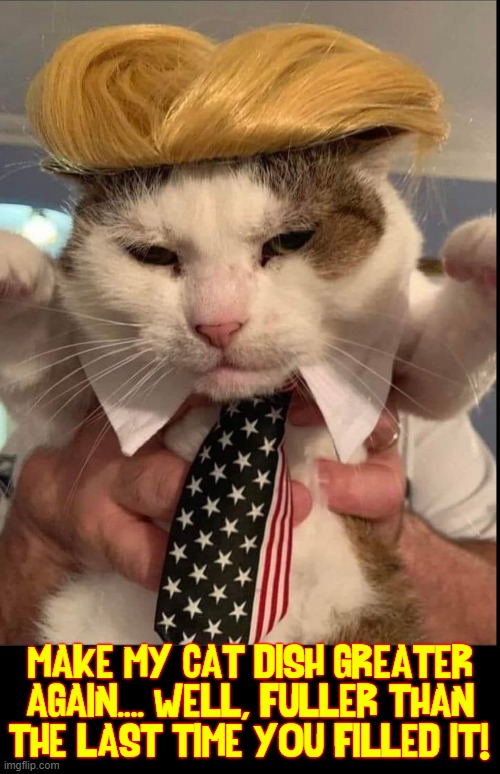 My Cat:  Ronald J Grump |  "MAKE MY CAT DISH GREATER AGAIN.... WELL, FULLER THAN THE LAST TIME YOU FILLED IT!" | image tagged in vince vance,donald trump,funny cat memes,cats,hungry cat,i love cats | made w/ Imgflip meme maker