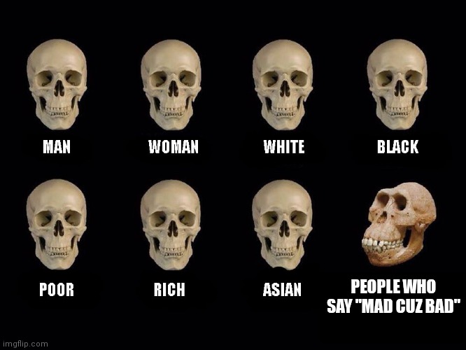 I hate those people | PEOPLE WHO SAY "MAD CUZ BAD" | image tagged in empty skulls of truth | made w/ Imgflip meme maker