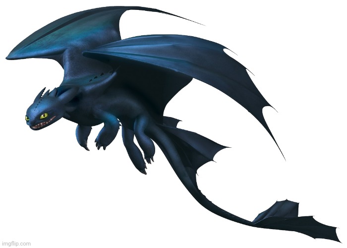 Night Fury | image tagged in night fury | made w/ Imgflip meme maker