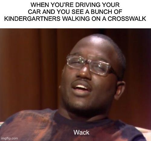 *dies of death* |  WHEN YOU’RE DRIVING YOUR CAR AND YOU SEE A BUNCH OF KINDERGARTNERS WALKING ON A CROSSWALK | image tagged in wack,memes,funny,school,crosswalk,death | made w/ Imgflip meme maker