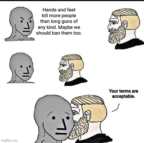 If it saves one life | Hands and feet kill more people than long guns of any kind. Maybe we should ban them too. | image tagged in your terms are acceptable | made w/ Imgflip meme maker