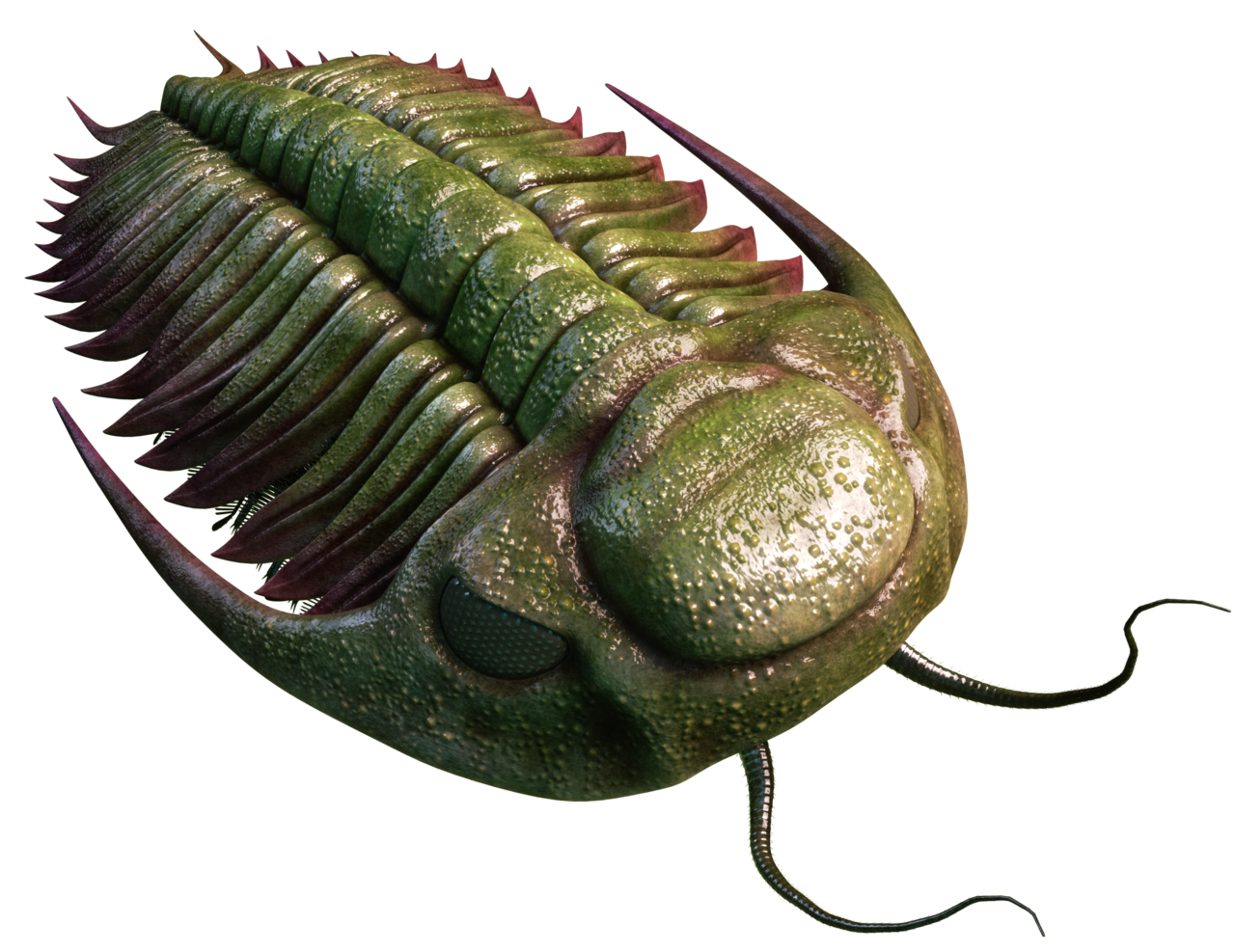 Green and Red Trilobite Blank Meme Template