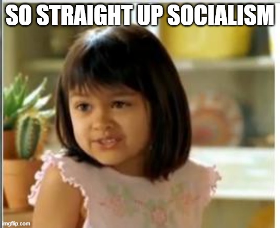 Why not both | SO STRAIGHT UP SOCIALISM | image tagged in why not both | made w/ Imgflip meme maker