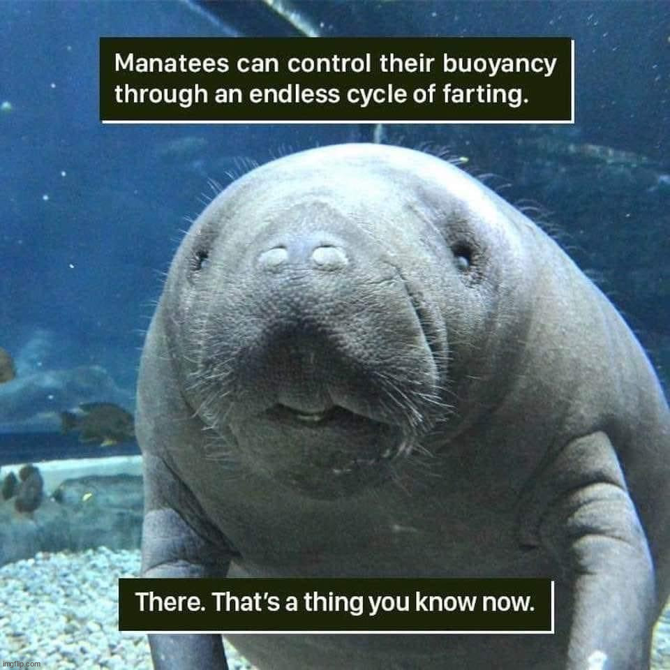 image tagged in repost | made w/ Imgflip meme maker