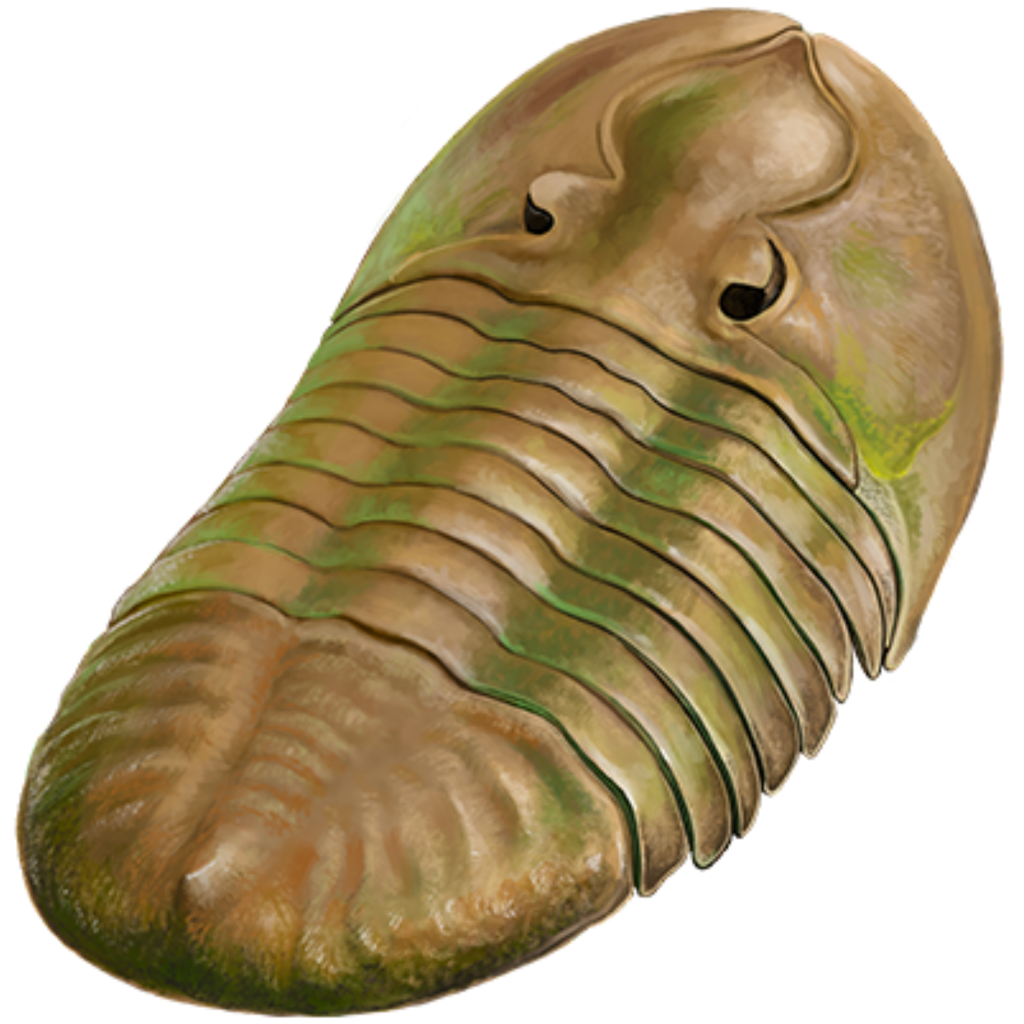 Brown and Green Trilobite Blank Meme Template