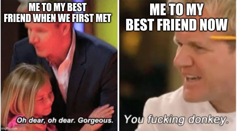 And that right there-is friendship XD | ME TO MY BEST FRIEND WHEN WE FIRST MET; ME TO MY BEST FRIEND NOW | image tagged in gordon ramsay kids vs adults | made w/ Imgflip meme maker