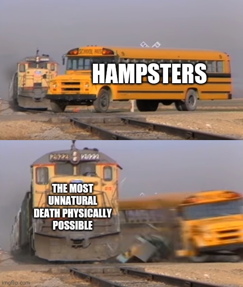 True hampta | HAMPSTERS; THE MOST UNNATURAL DEATH PHYSICALLY POSSIBLE | image tagged in funny,memes,gay,dad,cage,death | made w/ Imgflip meme maker