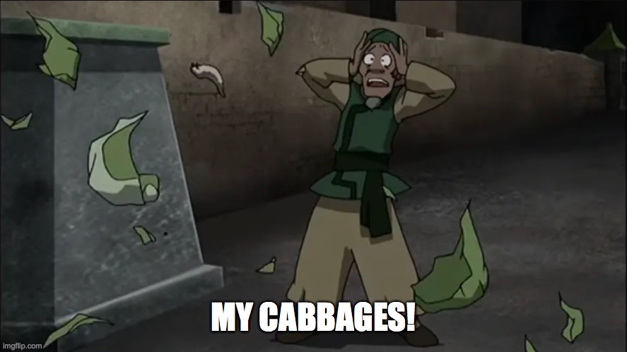 My Cabbages | MY CABBAGES! | image tagged in my cabbages | made w/ Imgflip meme maker