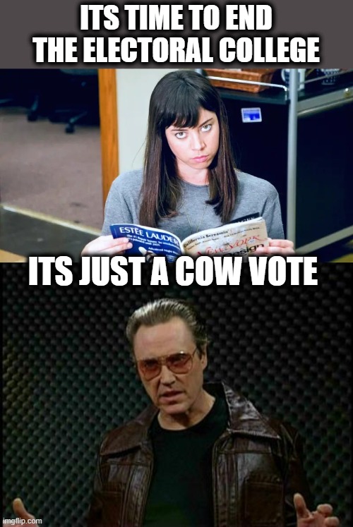 #endelectoralcollege #nofraud #nocowvotes | ITS TIME TO END THE ELECTORAL COLLEGE; ITS JUST A COW VOTE | image tagged in needs more cowbell,memes,politics,voting,electoral college,freedom | made w/ Imgflip meme maker