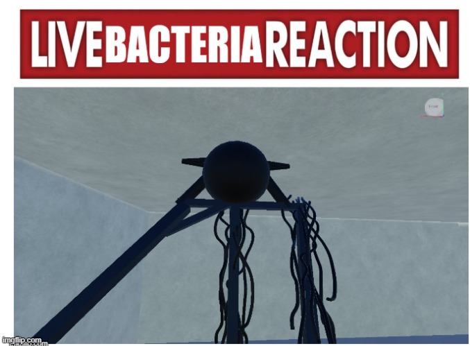 LIVE BACTERIA REACTION | image tagged in the backrooms,backrooms | made w/ Imgflip meme maker