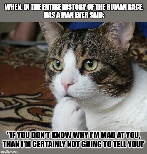 This #lolcat wonders if a man has ever said this: | WHEN, IN THE ENTIRE HISTORY OF THE HUMAN RACE,
HAS A MAN EVER SAID:; "IF YOU DON'T KNOW WHY I'M MAD AT YOU,
THAN I'M CERTAINLY NOT GOING TO TELL YOU!' | image tagged in lolcat,female logic,men vs women,think about it | made w/ Imgflip meme maker