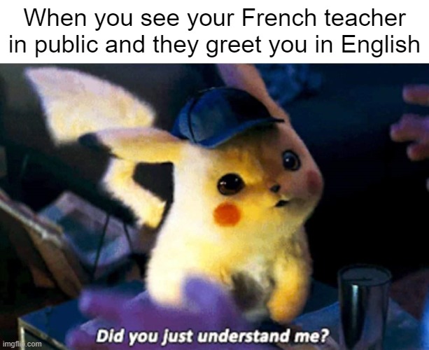 Mrs. Carruthers and Mrs. Marina are the best French teachers. They speak the language of the young people. |  When you see your French teacher in public and they greet you in English | image tagged in did you just understand me | made w/ Imgflip meme maker