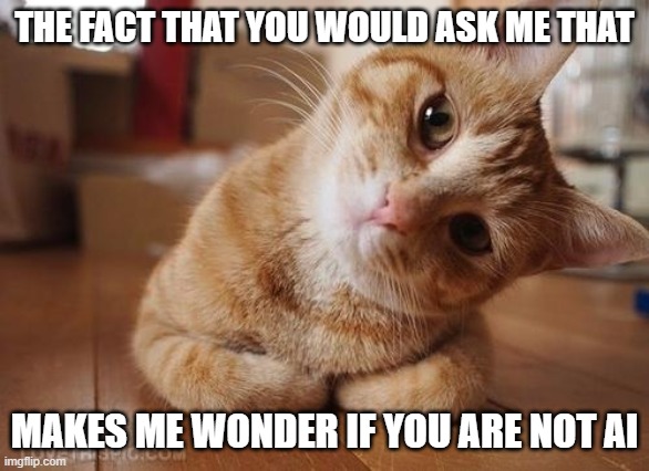 Curious Question Cat | THE FACT THAT YOU WOULD ASK ME THAT MAKES ME WONDER IF YOU ARE NOT AI | image tagged in curious question cat | made w/ Imgflip meme maker